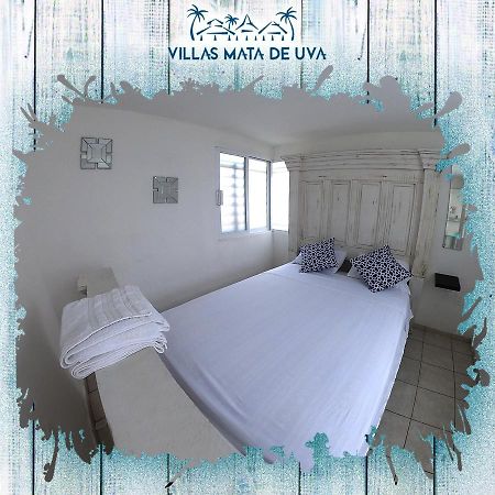 Villas Mata De Uva Альварадо Экстерьер фото